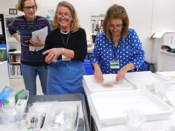 Paper conservation and chelators.
